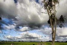 东体:宋凯在杭州与盐城两地奔波,分别督战国足与中国U.