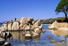 壹号娱乐:篮球——NBA常规赛:猛龙不敌马.